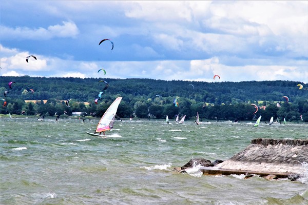 DSC_0299.JPG
